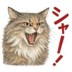 [LINEスタンプ] セラヴィの日常スタンプ（友達＆家族用）