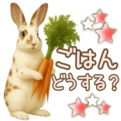 [LINEスタンプ] ウサギちゃんの家族連絡・友人・恋人
