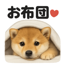 [LINEスタンプ] 引きこもり芝犬の日常LINEスタンプ