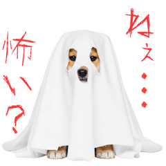 [LINEスタンプ] 怖いけど可愛い！？おばけ風柴犬。