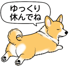 [LINEスタンプ] コーギー(しっぽあり＋レッド＆ホワイト)