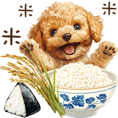 [LINEスタンプ] トイプードルとお米