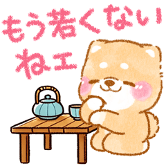 [LINEスタンプ] 年齢を感じる人が使う❤️いやしばいぬ❤️
