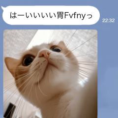 [LINEスタンプ] ●写真添付して誤送信ねこ。