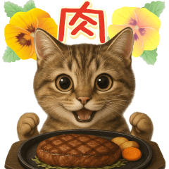 [LINEスタンプ] リアルねこ！家族と毎日使える主婦猫の日常