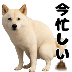 [LINEスタンプ] うんこ中の犬。