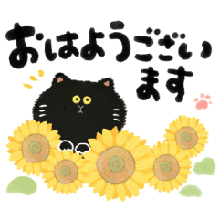 [LINEスタンプ] 毎日つかえる♡黒猫と筆文字スタンプ