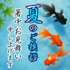 [LINEスタンプ] 飛び出す【夏】ずっと使える大人のご挨拶