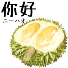 [LINEスタンプ] 熟した ドリアン 【中国語】