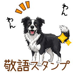 [LINEスタンプ] ボーダー・コリーのやさしい敬語スタンプ
