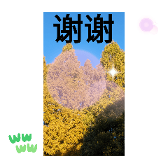 [LINEスタンプ] 台湾の花蓮県吉安郷で日常挨拶メール一言