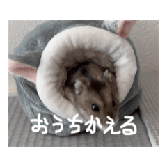 [LINEスタンプ] うちのばむしゅた