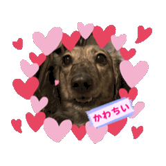 [LINEスタンプ] クガネスタンプ改