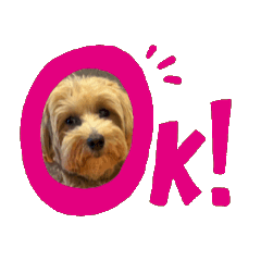 [LINEスタンプ] まるぷーらん