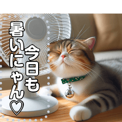 [LINEスタンプ] 夏バテ♡猫にゃん