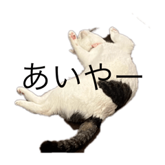 [LINEスタンプ] もなかのもんちゃん2