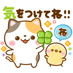 [LINEスタンプ] ねこねこにゃんこ♡思いやりメッセージ