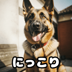 [LINEスタンプ] 表情豊かなシェパードの日常トーク