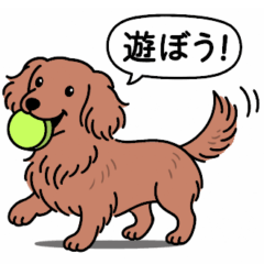 [LINEスタンプ] ミニチュアダックス (ロング＋レッド)