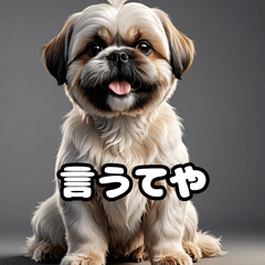 [LINEスタンプ] わんこやん！- 大阪弁LINEスタンプ