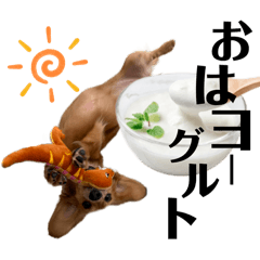 [LINEスタンプ] ダジャレックススタンプ！