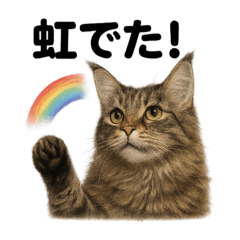 [LINEスタンプ] リアルでかわいい天気メインクーン猫｜毎日
