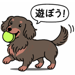 [LINEスタンプ] ミニチュアダックス (ロング＋チョコタン)