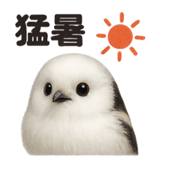 [LINEスタンプ] リアルでかわいい天気シマエナガ｜日常生活