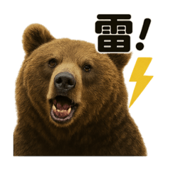 [LINEスタンプ] リアルでかわいい天気ヒグマ｜毎日使える