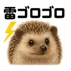 [LINEスタンプ] リアルでかわいい天気ハリネズミ｜日常生活