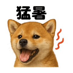 [LINEスタンプ] リアルでかわいい天気芝犬｜毎日使える日常