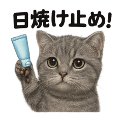 [LINEスタンプ] リアルでかわいい天気マンチカン猫｜日常
