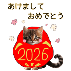 [LINEスタンプ] ふわふわ猫のあけおめスタンプ⭐︎2026