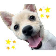 [LINEスタンプ] ハニハニスタンプNo.2