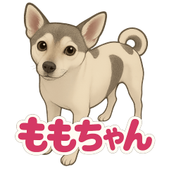 [LINEスタンプ] 癒し系わんこ「ももちゃん」スタンプ♪