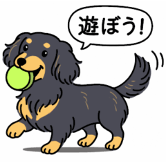 [LINEスタンプ] ダックス（ロング＋ブラックイエロー）