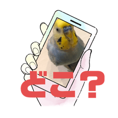 [LINEスタンプ] 美ぃやちーラブミー