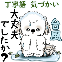 [LINEスタンプ] シーズー犬 2025 「丁寧な言葉・気遣い」