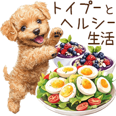[LINEスタンプ] トイプードルとヘルシー生活♪