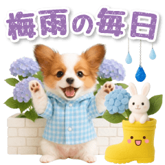 [LINEスタンプ] 大人可愛いパピヨンで梅雨の気づかい敬語