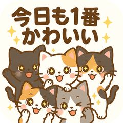 [LINEスタンプ] ねこせん【草加せんべい座布団から共感】