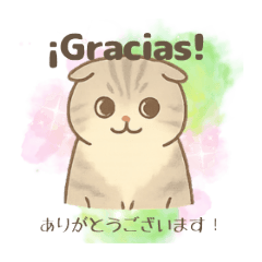 [LINEスタンプ] ほんわか癒しの猫スタンプEspañoly日本語