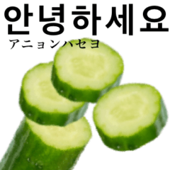 [LINEスタンプ] きゅうり 【韓国語】