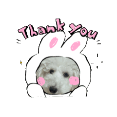 [LINEスタンプ] トイプードルのミルくん