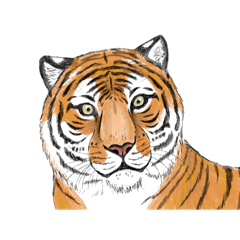 [LINEスタンプ] リアル寄りの動物イラスト＋文字・飾り