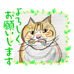 [LINEスタンプ] 石巻ニャンコ協会スタッフスタンプ！
