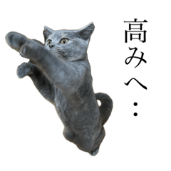 [LINEスタンプ] 灰猫とろみ②