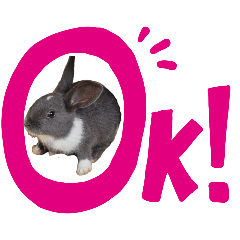 [LINEスタンプ] うさぎ の ルナちゃん