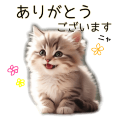 [LINEスタンプ] 毎日のふわふわ子猫【日常・敬語】