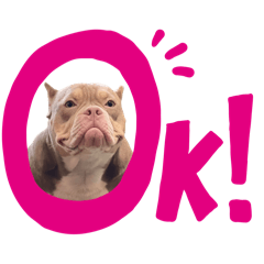[LINEスタンプ] ばんちゃん！